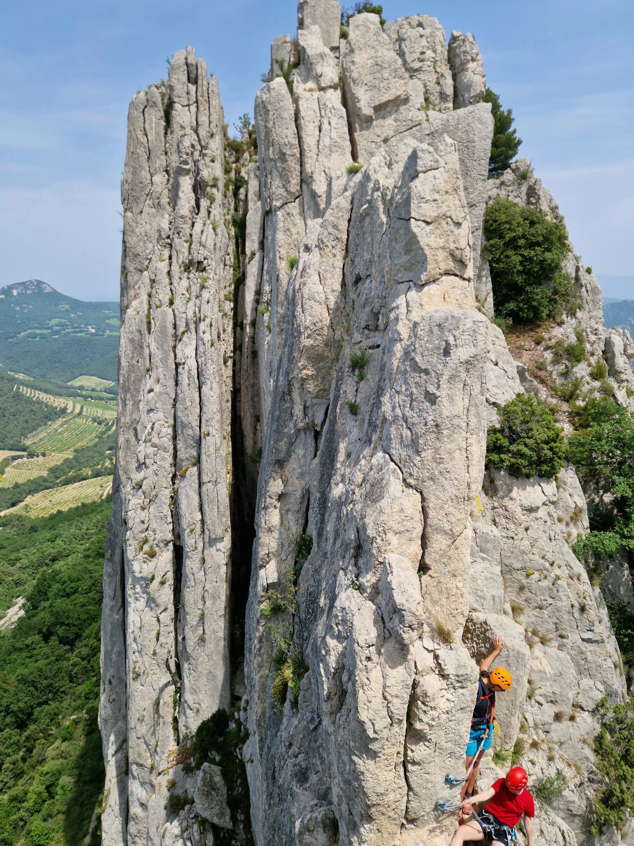 Alec aux Dentelles de Montmirail